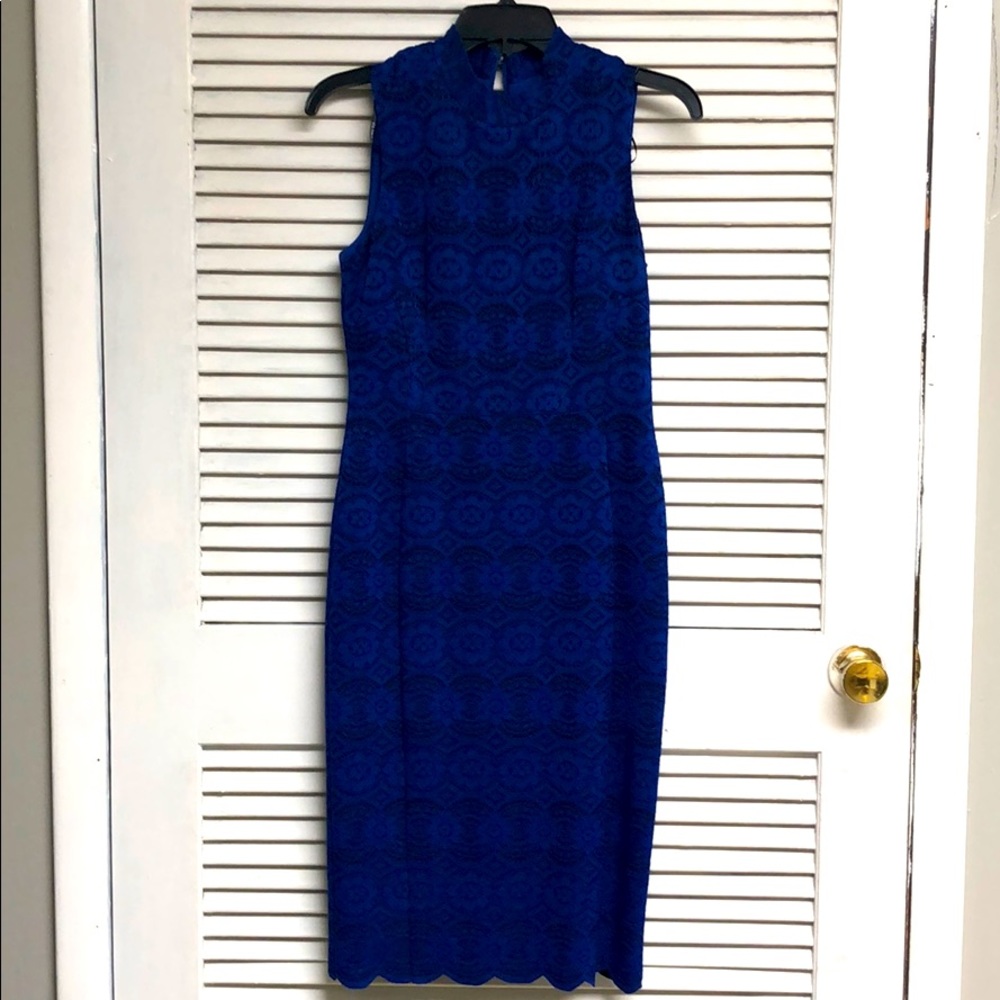 Knee Length Blue Vince Camuto Sheath Dress